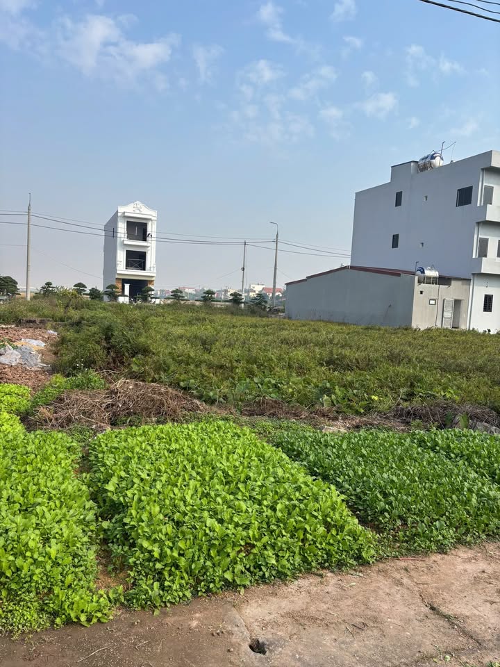 Đất nền Xã Nghĩa Trung 85m² giá 1.8 tỷ - Hướng Nam, mặt đường bờ sông!