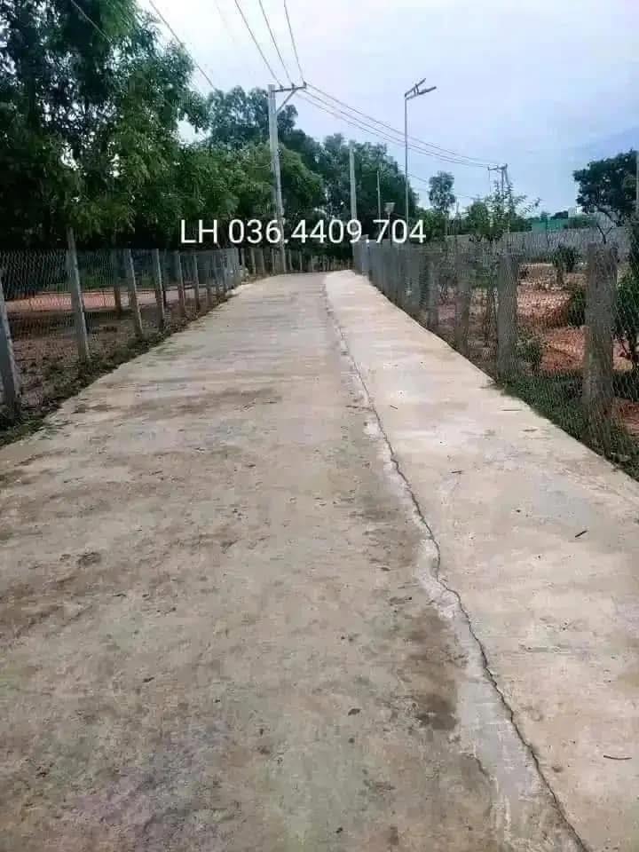 Đất nền Thôn Thiện Sơn, Phan Thiết 1000m² giá 2.95 tỷ - Đầu tư sinh lời ngay!