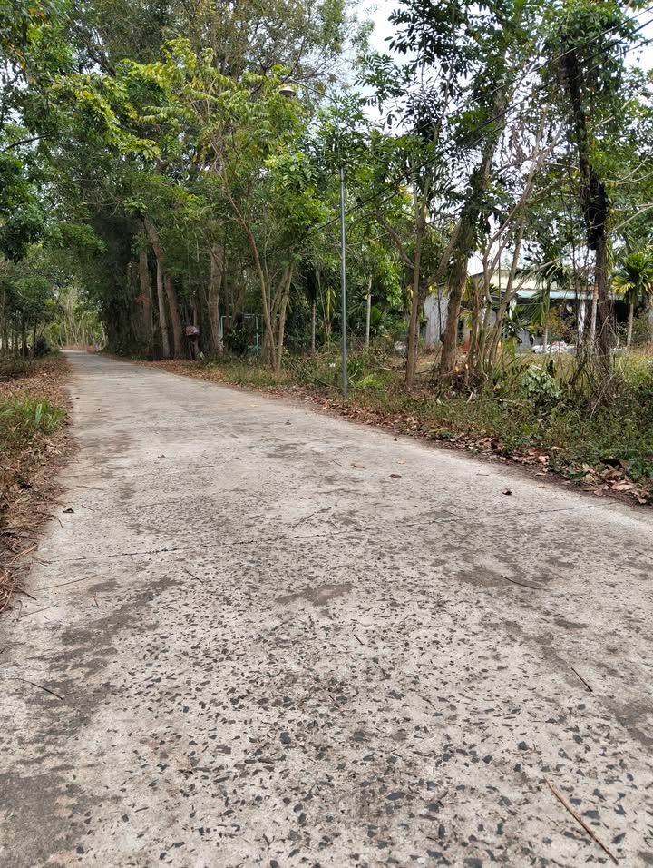 Đất thổ cư 2025m² Trục Chính Thanh Hưng, An Lộc chỉ 199 triệu - Đầu tư sinh lời ngay!