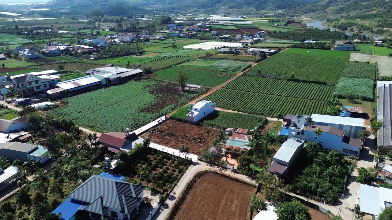 Đất nền Xã Hiệp Thạnh, Lâm Đồng 75m² - Sổ hồng riêng, giá chỉ từ 899 triệu!