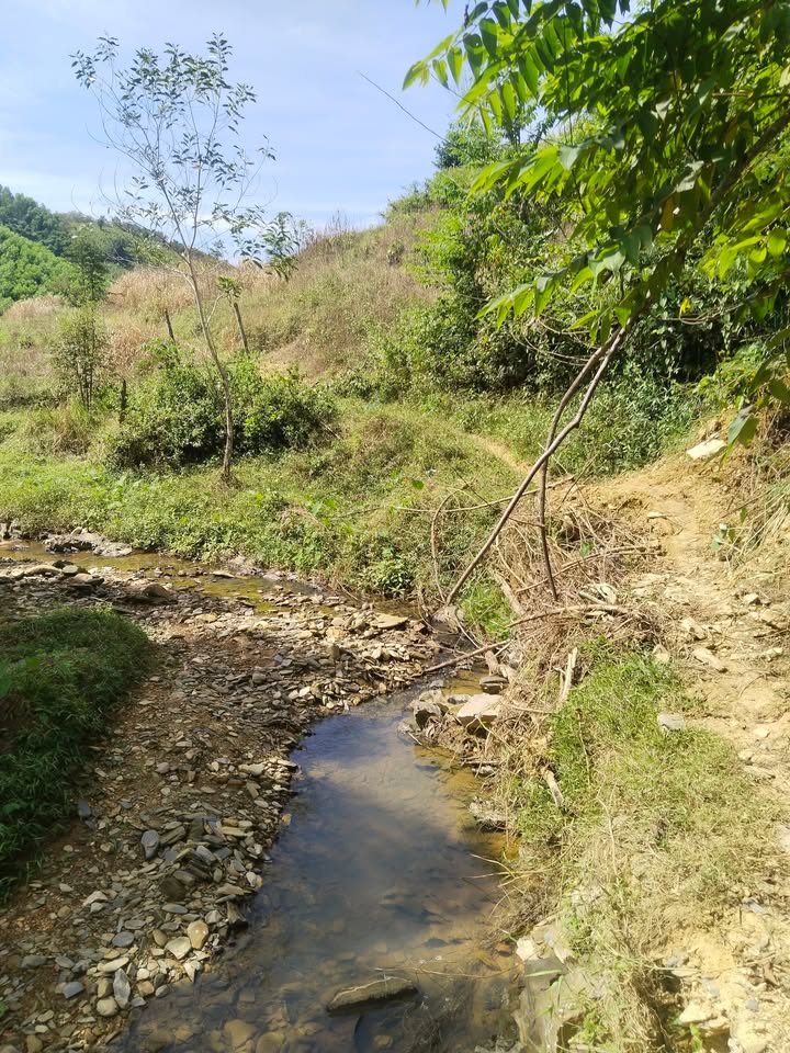 Đất nông nghiệp Xã Khánh Thành 720m² giá 55 triệu - Cơ hội đầu tư hấp dẫn!