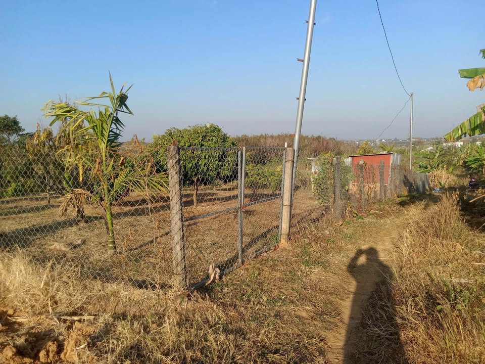 Mảnh vườn tại thôn Diêm Trung, Kon Tum 528m² giá chỉ 3xx triệu - Đầy tiềm năng!