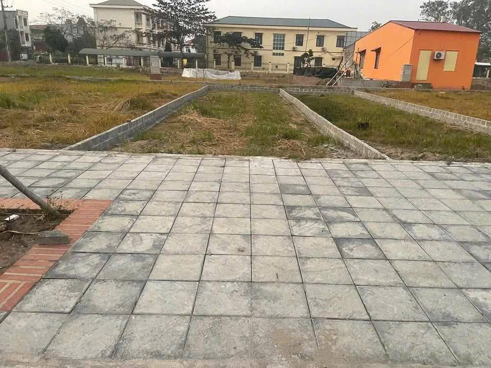 Đất nền DCM Phường Lam Sơn 105m² giá 4 tỷ - Hướng Nam hút tài lộc!