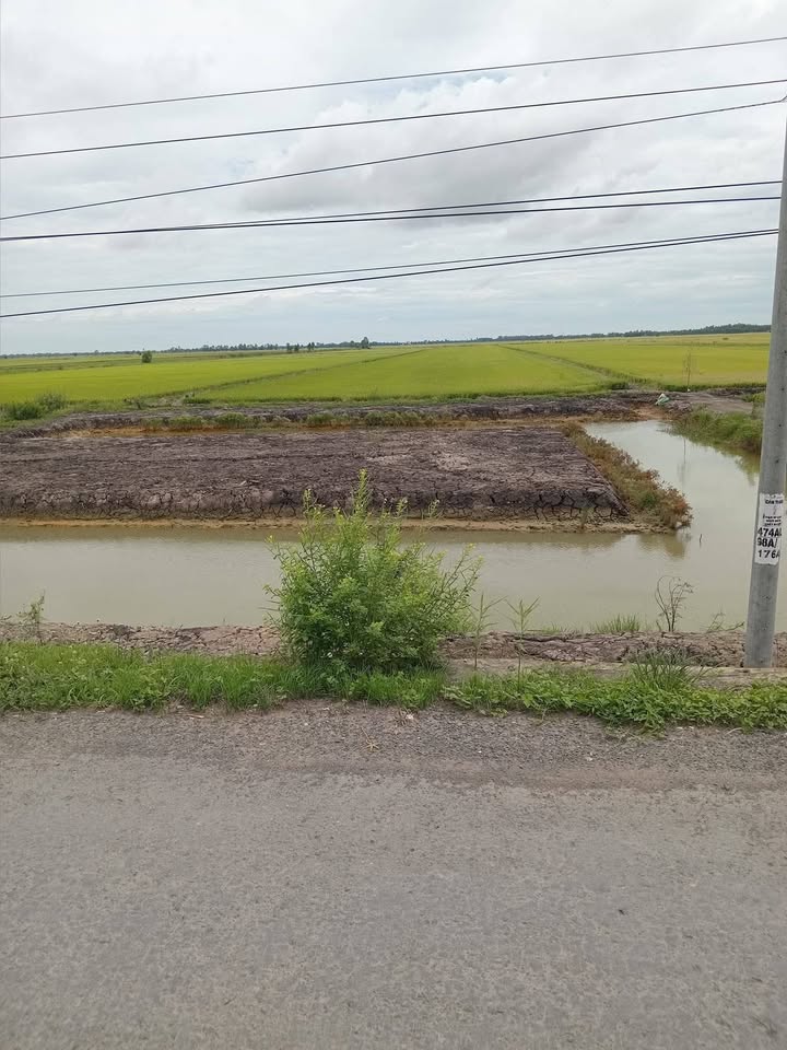 Đất lúa 43.050m² xã Phú Thành B, huyện Tam Nông giá 7.318 tỷ - Cơ hội đầu tư hấp dẫn!