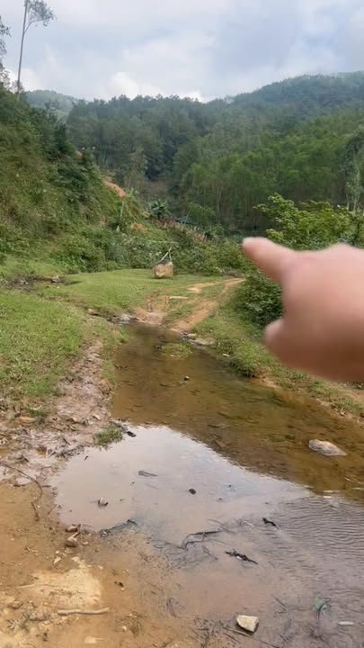 Đất ven suối tại Nam Xuân, Nam Đàn 2300m² giá chỉ 900 triệu - Cơ hội đầu tư lý tưởng!