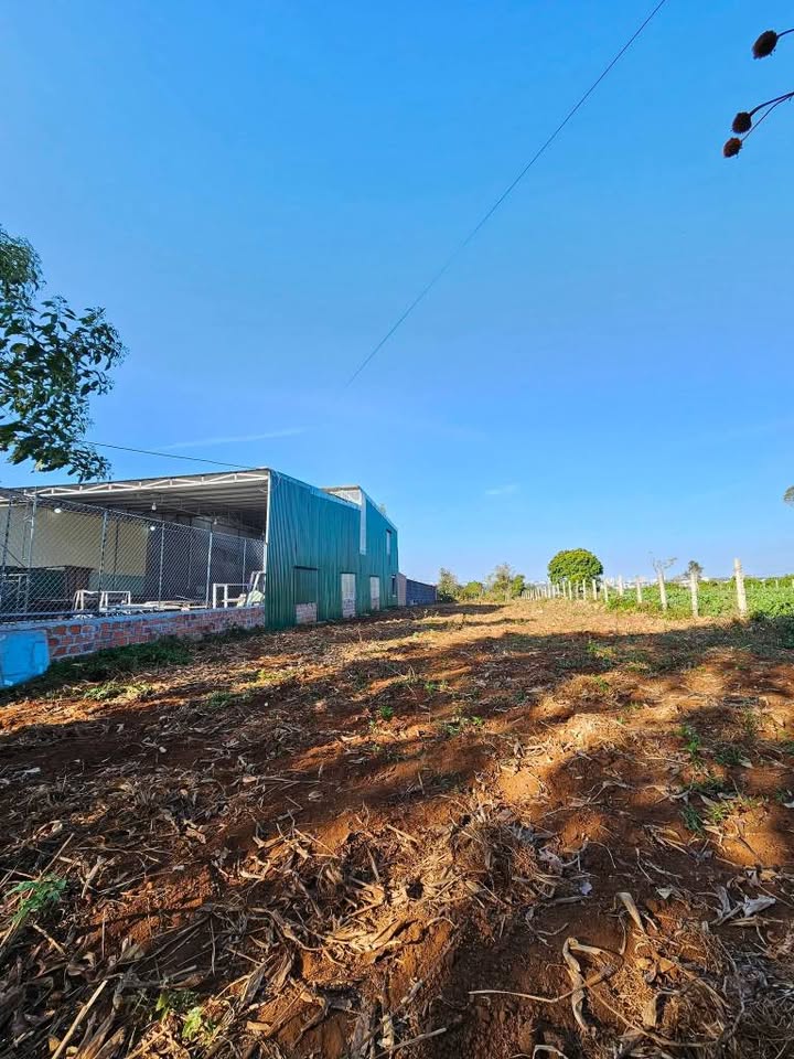 Đất thổ cư mặt tiền đường Nguyễn Chí Thanh, 200m² - Giá thỏa thuận hấp dẫn!