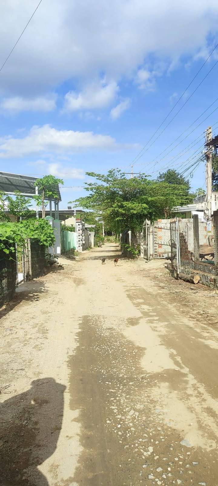 Đất nền chính chủ Ninh Phước 169m² giá chỉ 330 triệu - Cơ hội đầu tư hấp dẫn!