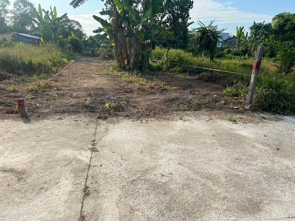 Đất ở Đường DH2, Xã Hòa Ninh 180m² giá 1.2 tỷ - Vị trí đẹp, dân cư đông đúc!