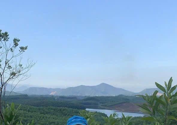 Đất rừng 13ha tại Hoài Hảo, Bình Định - Giá chỉ 1 tỷ/ha!