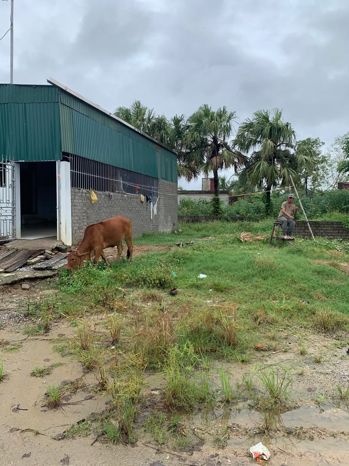 Đất nền Phú Minh, Nghi Sơn 191m² giá 1 tỷ - Tiềm năng kinh doanh vượt trội!