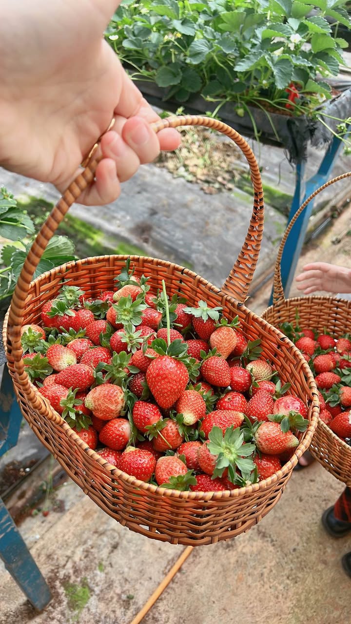 Bán gấp FrontHouse hẻm 360 Phan Đình Phùng 120m² giá 1.46 tỷ - Đầu tư lý tưởng!