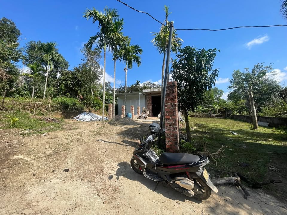 Đất vườn Hòa Ninh 330m² giá 1.9 tỷ - Pháp lý rõ ràng, đầu tư sinh lời!