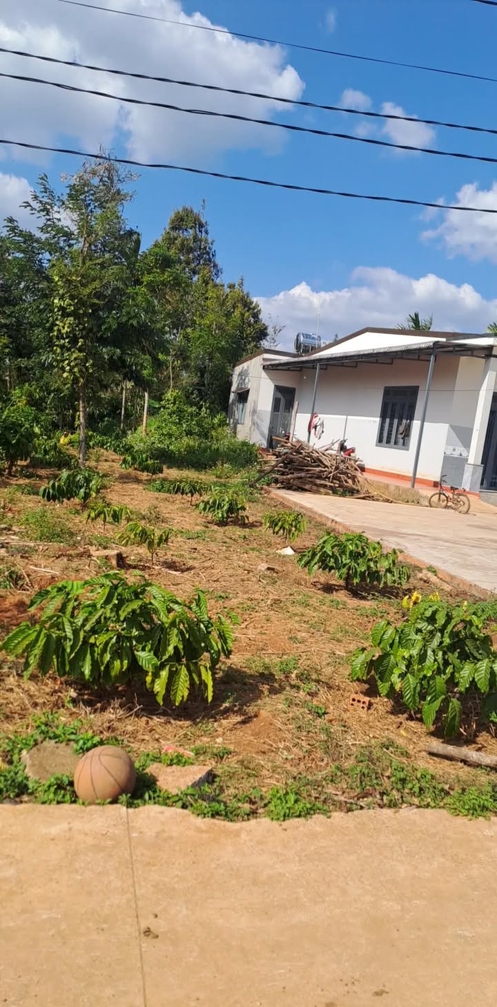 Đất nền đường KA2 - Phường Tân An - 865,7m² chỉ 400 triệu - Cơ hội đầu tư tuyệt vời!