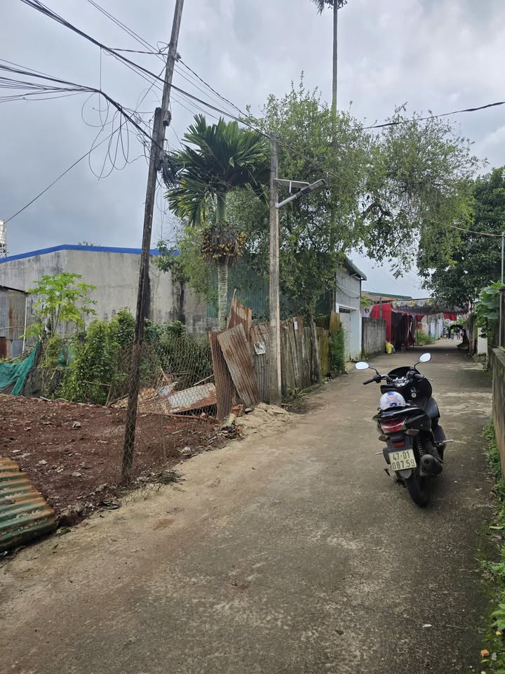 Đất thổ cư 70m² Phường Tân Hòa, Buôn Ma Thuột giá 1.35 tỷ - Cơ hội đầu tư tuyệt vời!