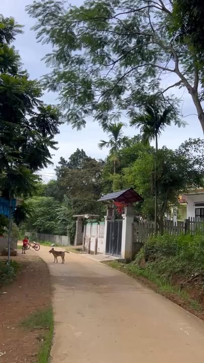 Đất nền xã Thạch Đà, huyện Mê Linh 180m² - Gần hồ sinh thái, dân cư đông đúc!