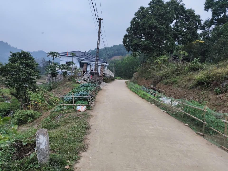 Đất Farm Khu Đồng An, Xã Cao Dương 6.400m² giá 7.68 tỷ - Cơ hội đầu tư tuyệt vời!