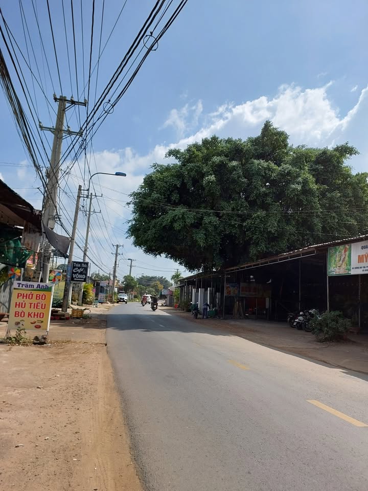 Đất thổ cư Bảo Vinh Long Khánh 550m² giá 2.2 tỷ - Sổ hồng riêng chính chủ!