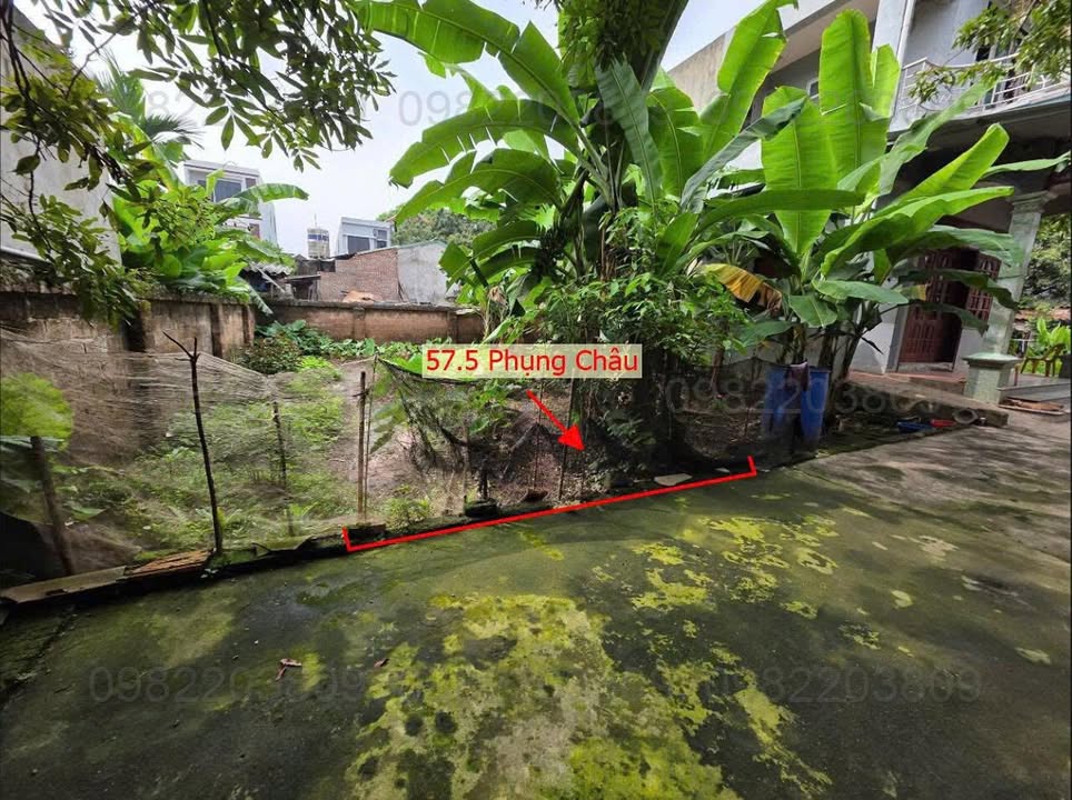 Đất thổ cư Phụng Châu 57m² giá hơn 3 tỷ - Tiềm năng kinh doanh lớn!