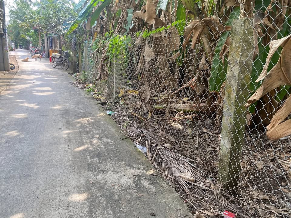 Đất nền xã Châu Hòa, Giồng Trôm 336m² giá 650 triệu - Sổ hồng chính chủ