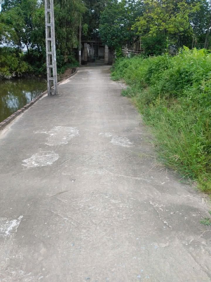 Đất phường Trường Thi, Nam Định 120m² - Chính chủ bán gấp, giá thương lượng!