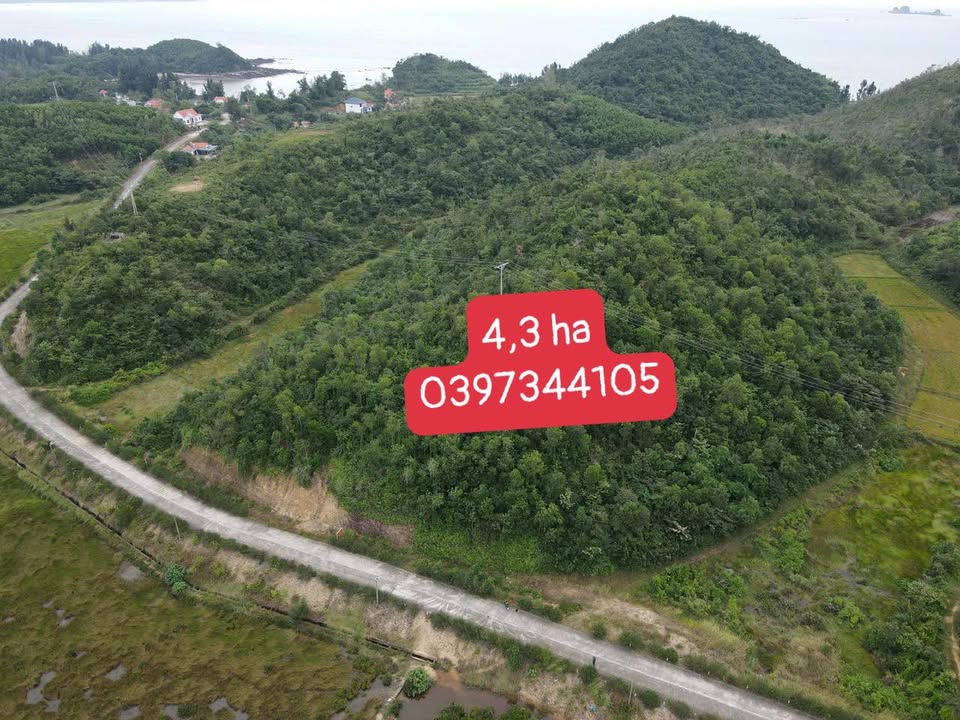 Farm 4,3 ha tại Xã Cái Chiên, Huyện Hải Hà - Cơ hội đầu tư hấp dẫn!