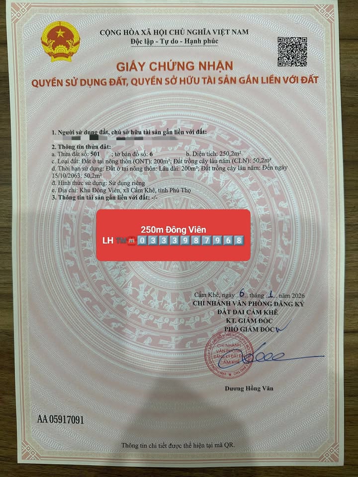 Đất nền Đông Viên, Cẩm Khê 250m² - Đầu tư sinh lời, sát chợ mới!