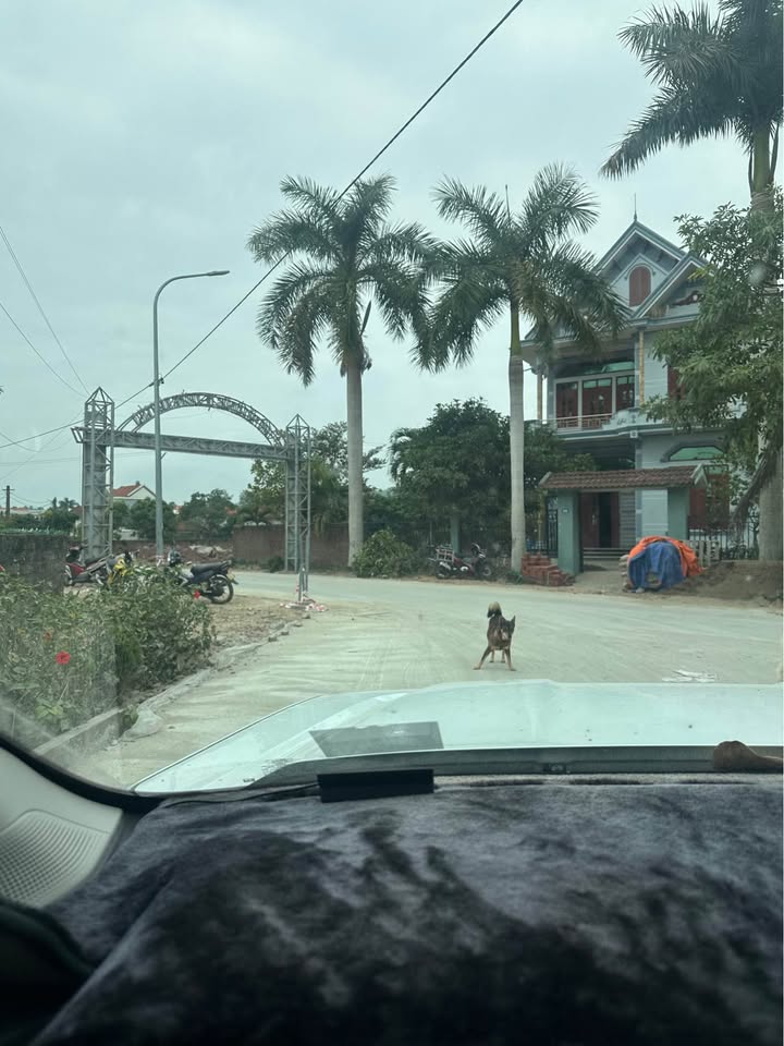 Đất nền 137m² tại thôn 10, Hải Đông, Móng Cái - Giá thỏa thuận hấp dẫn!