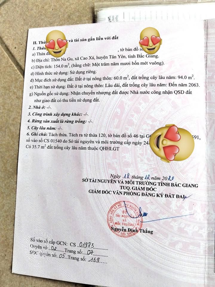 Đất nền thôn Na Gu, xã Cao Xá, huyện Tân Yên, 154m² - Sổ đỏ chính chủ, giá 2.5 tỷ!