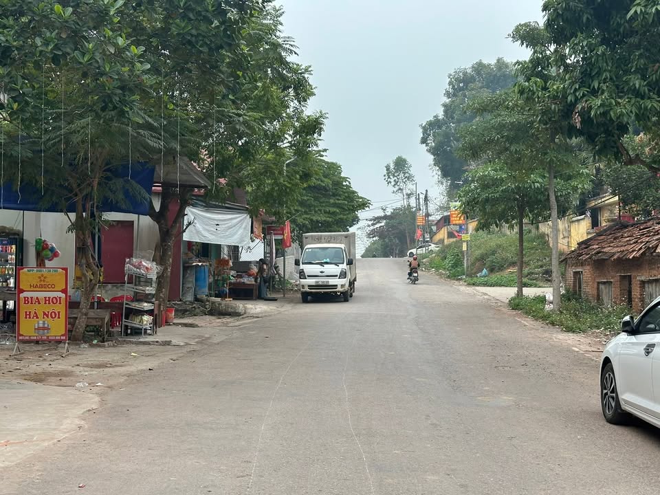 Đất 100m² tại xã Tân Hiệp, huyện Yên Thế, Bắc Giang - Kinh doanh sầm uất, chỉ 1.3 tỷ!