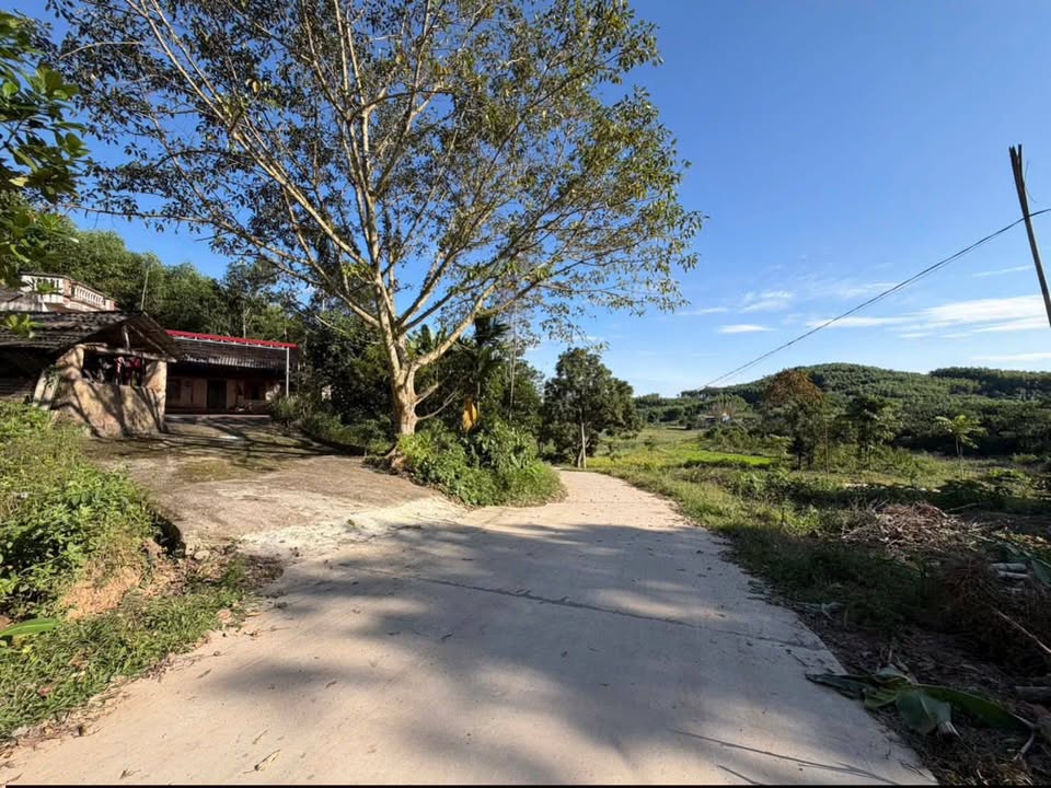 Đất nền 156m² tại Tam Tiến, Yên Thế giá 400 triệu - Cơ hội đầu tư tuyệt vời!