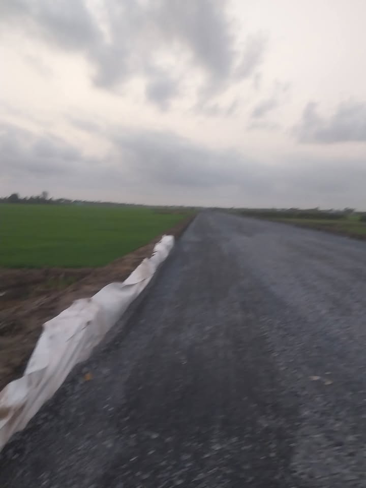 Đất nền 864 Long Bình, Gò Công Tây 225m² giá 470 triệu - Cơ hội đầu tư lý tưởng!