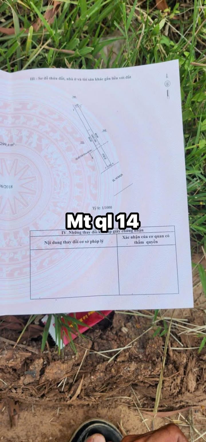 Đất nền 400m² mặt tiền Quốc lộ 14, xã Đông Tâm, giá 860 triệu - Cơ hội đầu tư tốt!