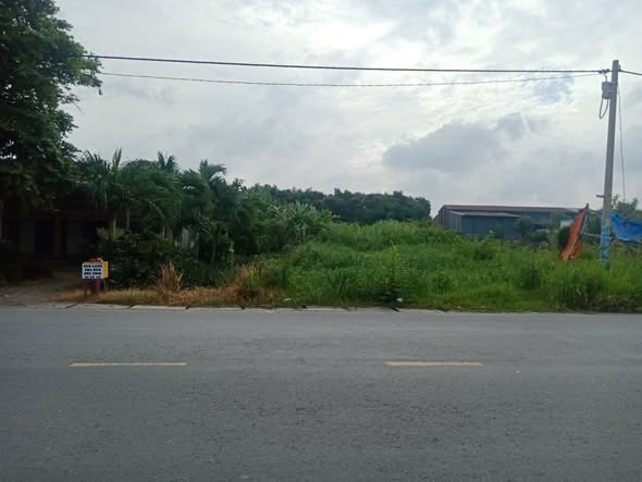Đất thổ vườn Đức Hòa Thượng 490m² giá 6.5 tỷ - Thích hợp làm kho, xưởng mini!