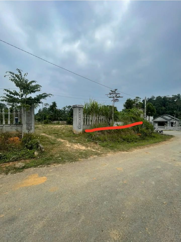 Lô đất 627m² tại Xã Lam Vỹ, Huyện Định Hóa - Đầu tư lý tưởng với giá thỏa thuận!