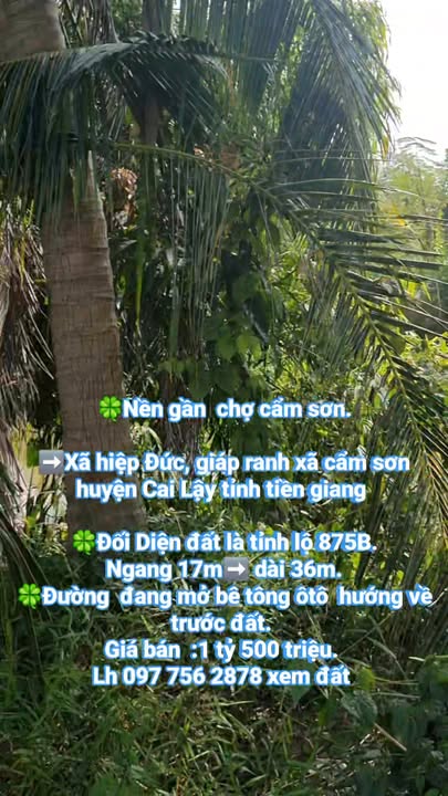 Đất nền xã Hiệp Đức, huyện Cai Lậy 612m² - Vị trí đắc địa gần chợ