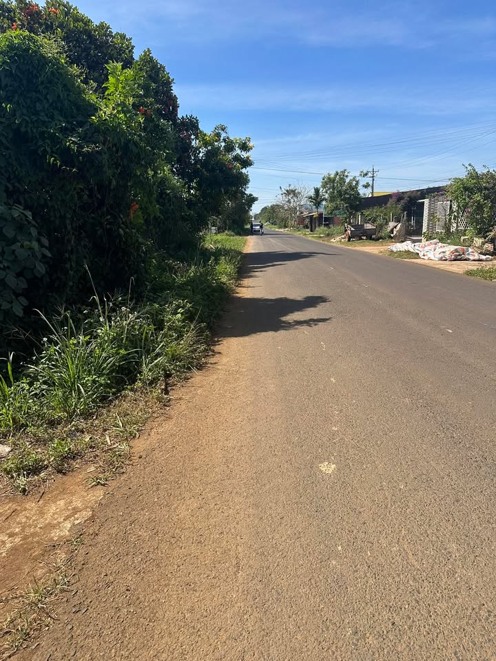 Đất nền đường Ngô Quyền, Huyện Di Linh, 5000m² giá 3.5 tỷ - Cơ hội đầu tư lý tưởng!