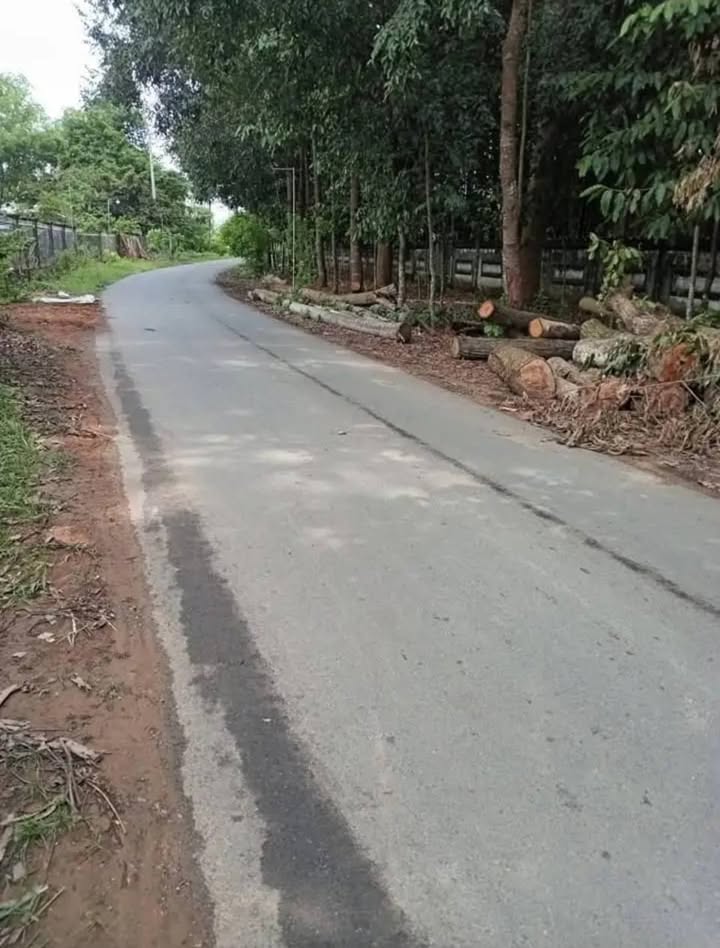 Đất mặt tiền nhựa Mỹ Hòa Cầu Ngang 649m² giá 4.25 tỷ - Đầu tư sinh lời ngay!