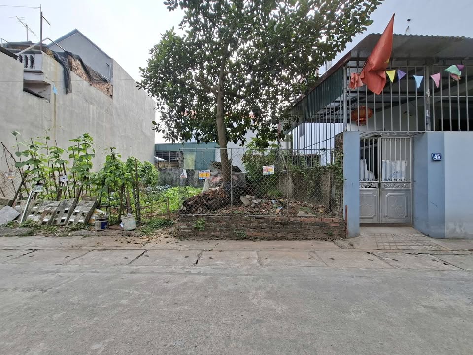 Đất nền 50m² tại Gò Công Đông, Tiền Giang - Giá chỉ 4 tỷ, Đường ô tô tránh