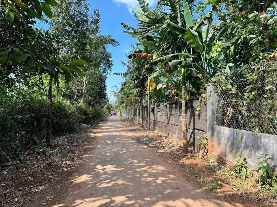 Đất nền Nao A, Nguyễn Xuân Nguyên 150m² giá 1.79 tỷ - Khu dân cư sầm uất!