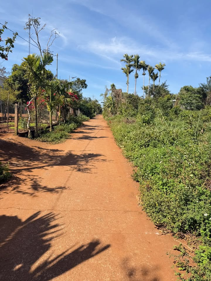 Đất nền Xã Cư Bao, Thị Xã Buôn Hồ 140m² giá 250 triệu - Cơ hội đầu tư tuyệt vời!