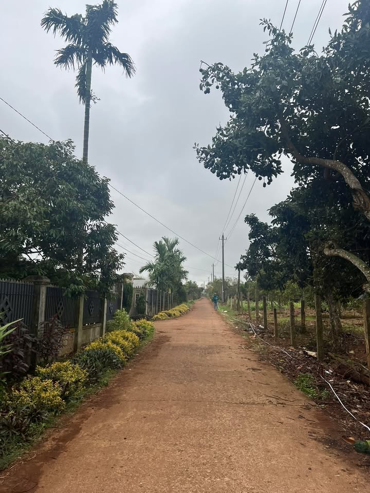 Đất nền Cư Bao Buôn Hồ 266m² giá 375 triệu - Đầu tư sinh lời ngay!