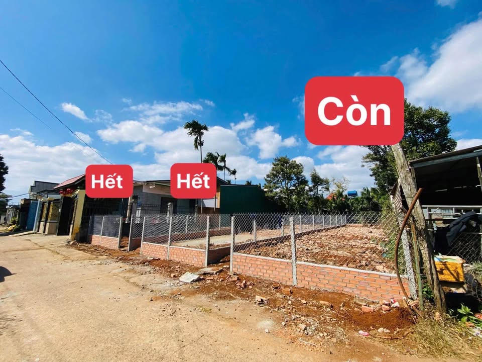 Đất nền Phường Tân An, Buôn Ma Thuột 118m² giá 1.5 tỷ - Tiềm năng tăng giá lớn!