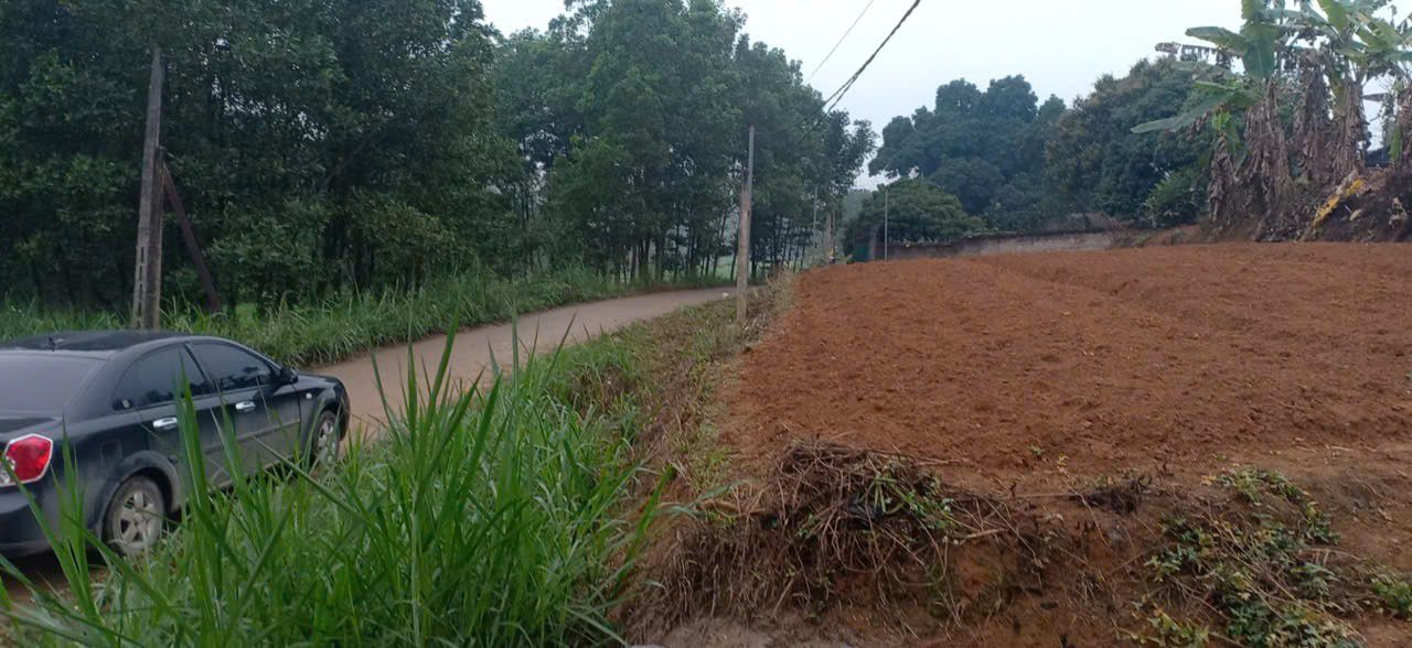 Đất nền Xã Phú Hộ 153m² giá 600 triệu - Cơ hội đầu tư hấp dẫn!