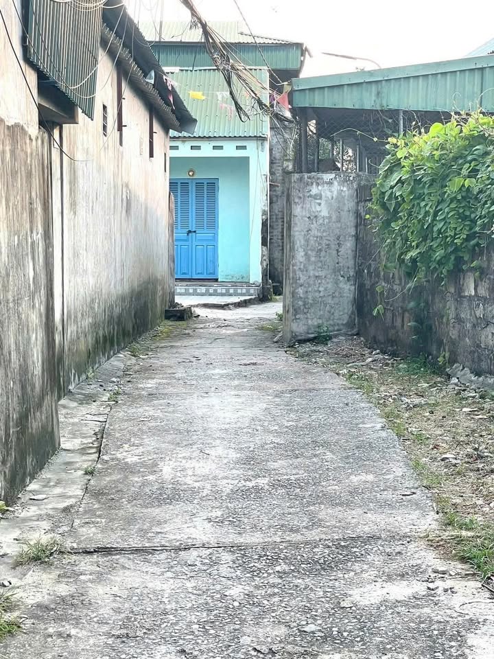 Đất nền Phố Độc Lập, Hạ Lầm 50m² giá 800 triệu - Hướng Bắc, ô tô đỗ gần!