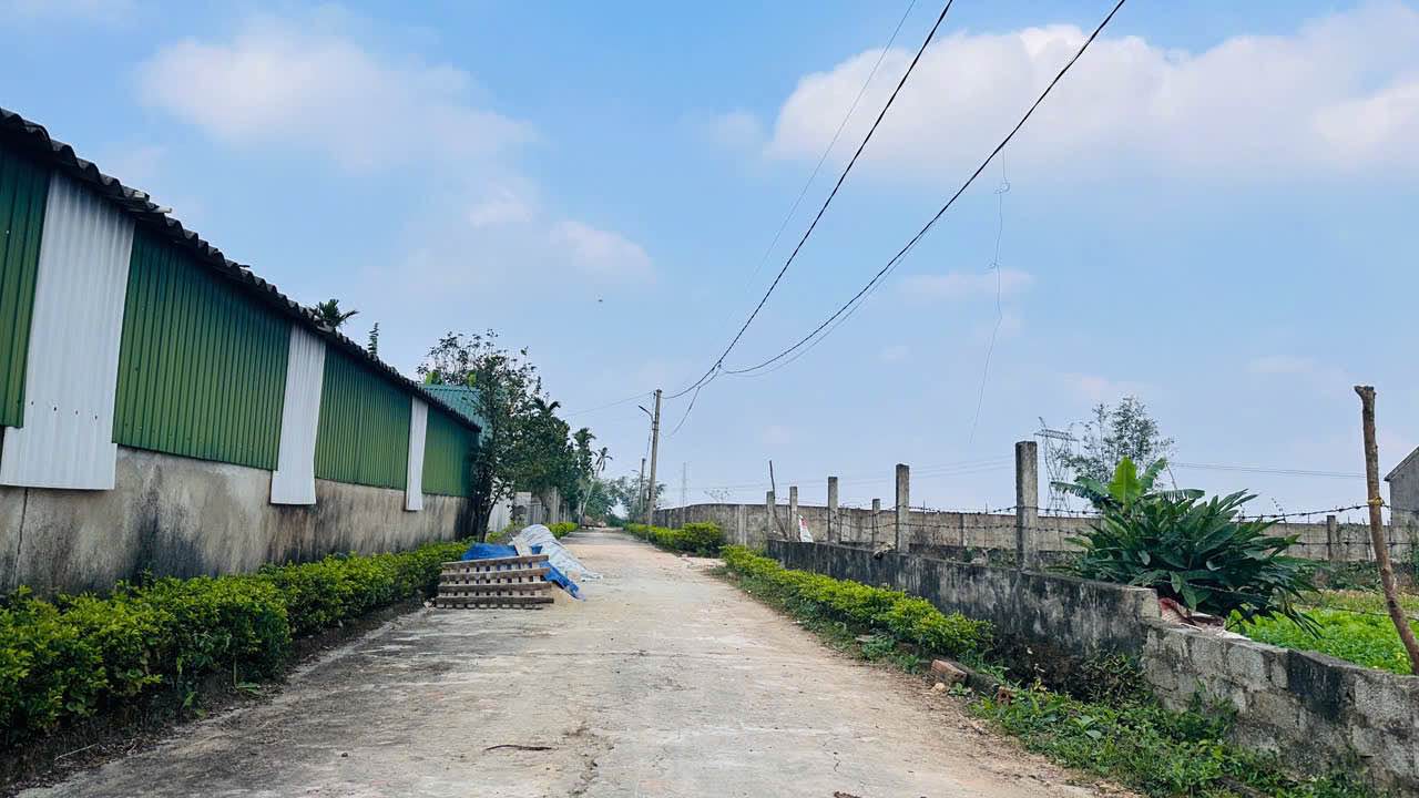 Đất thổ cư Thôn Việt Yên, Nam Điền, 163,6m² giá 490 triệu - Khu dân cư đông đúc, đường thông thoáng!