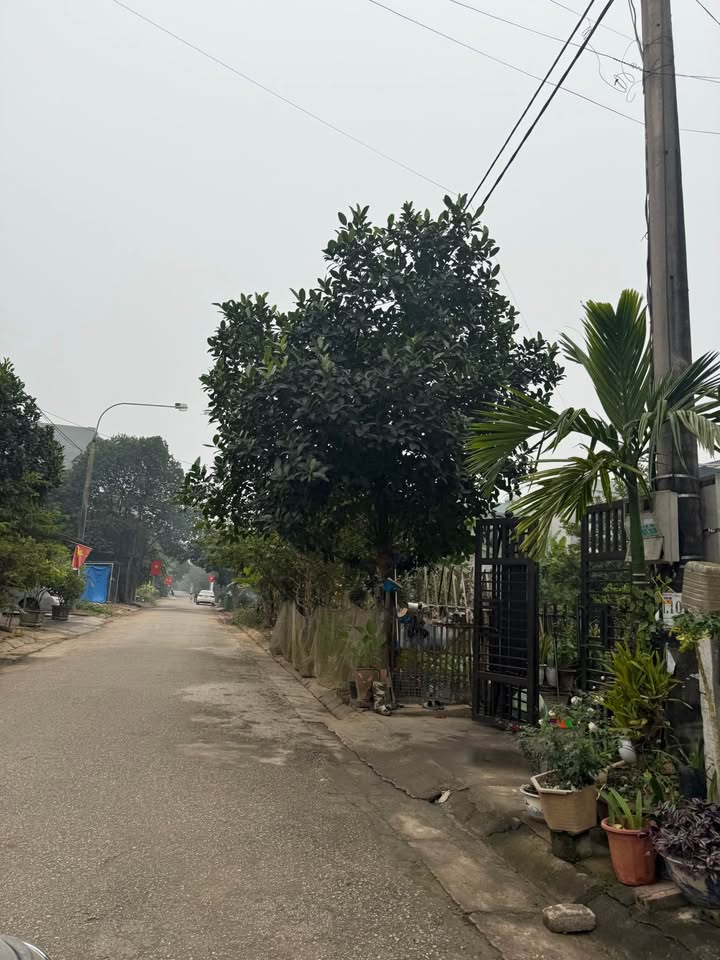 Đất nền Phường Nông Tiến, Tuyên Quang 100m² - Giá đầu tư hấp dẫn, sổ hồng riêng!