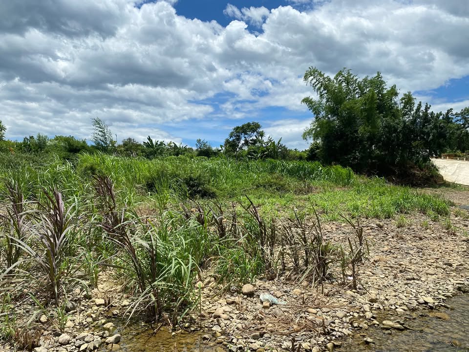 Đất nông nghiệp Xóm Ngheo, Kim Bôi 3000m² - Pháp lý sạch, giá thỏa thuận!