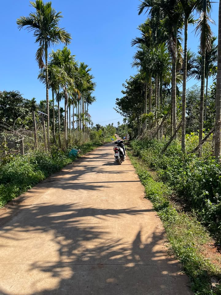 Đất thổ cư trung tâm xã Phú Xuân 576m² giá 51.84 tỷ - Đầu tư sinh lời ngay!