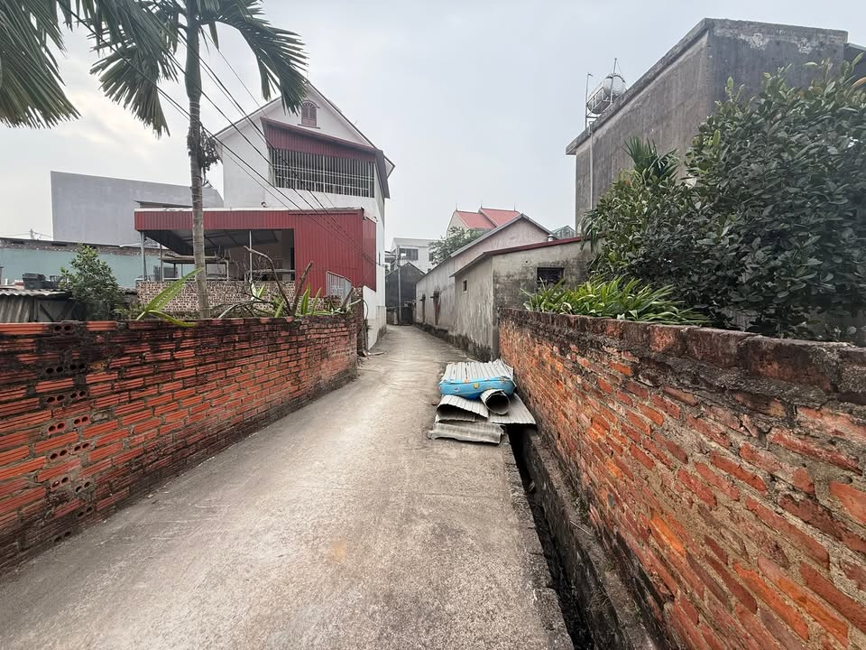 Lô đất thổ cư 180m² tại Thôn Nguận, Bắc Giang - Đầu tư sinh lời ngay!