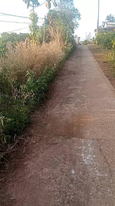 Đất nền 280m² tại xã Nâm N'Đir, giá 550 triệu - Cơ hội đầu tư sinh lời!